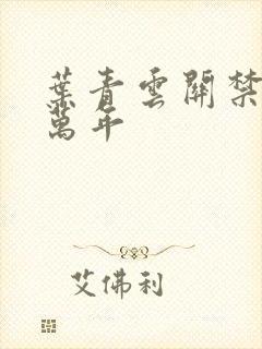 叶青云关禁闭一万年