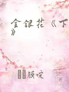 金银花《下厨房》