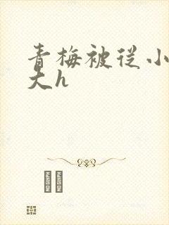 青梅被从小摸到大h