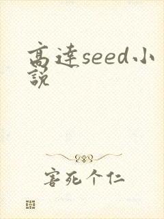 高达seed小说
