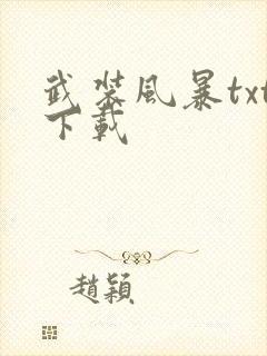 武装风暴txt下载