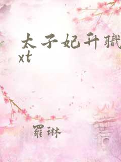 太子妃升职记txt