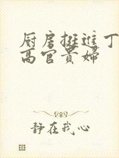 厨房挺进丁字裤高官贵妇