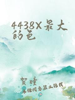 4438X最大的色