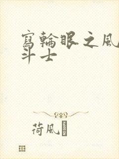写轮眼之风流圣斗士