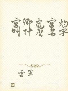 宫卿岚宫灼小说叫什么名字