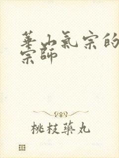 华山气宗的形意宗师