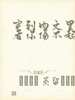 穿到肉文里的作者你伤不起