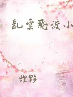 乱云飞渡小说