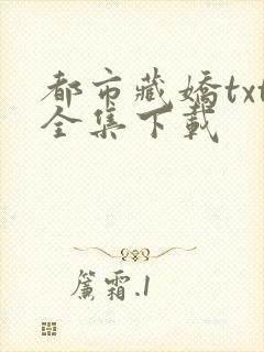 都市藏娇txt全集下载