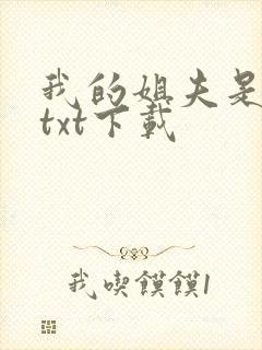 我的姐夫是太子txt下载