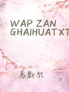 WAP ZANGHAIHUATXT