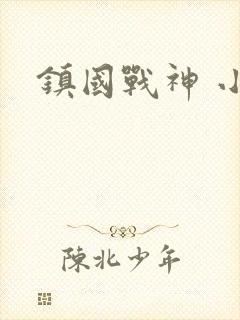 镇国战神 小说