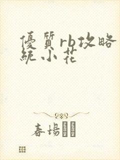 优质rb攻略系统小花