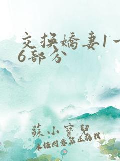 交换娇妻1一36部分
