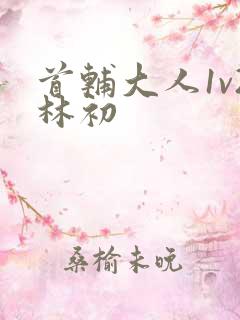 首辅大人1v2林初