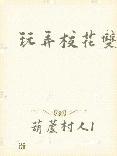 玩弄校花双胞胎