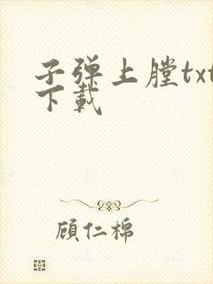 子弹上膛txt下载