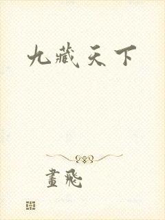 九藏天下
