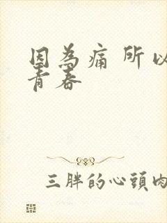 因为痛 所以叫青春