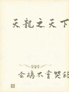 天龙之天下有我