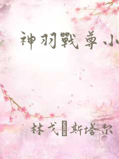神羽战尊小说