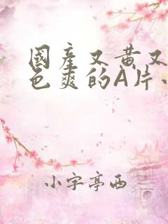 国产又黄又大又色爽的A片小说