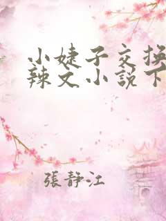 小婕子交换系列辣文小说下载