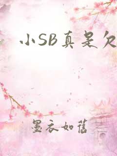小SB真是欠C
