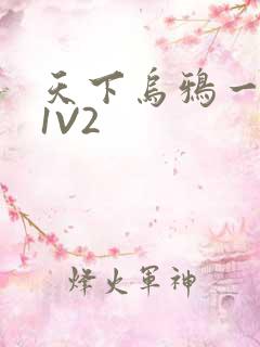天下乌鸦一般黑1V2