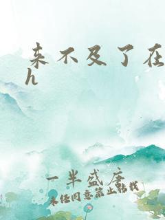 来不及了在车ch