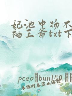 妃池中物不嫁断袖王爷txt下载