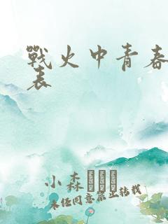 战火中青春演员表