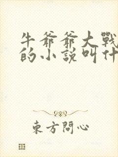 牛爷爷大战小丽的小说叫什么