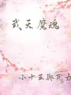 武天魔魂