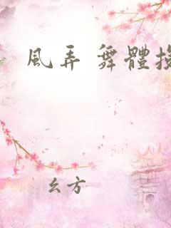 风弄 舞体投递