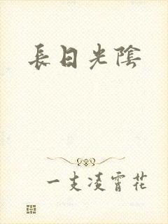 长日光阴