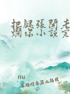 把腿张开老子臊烂你小说完