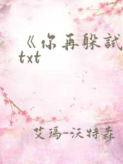 《你再躲试试》txt
