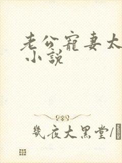 老公宠妻太甜蜜 小说