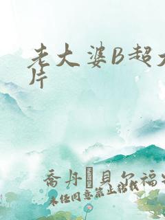 老大婆B超大图片