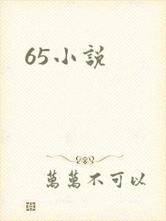 65小说