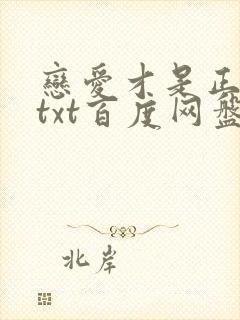 恋爱才是正经事txt百度网盘