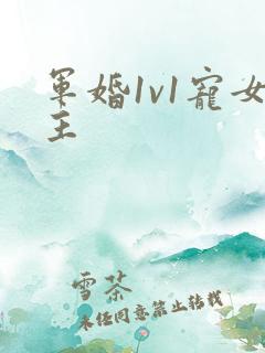 军婚1v1宠女主