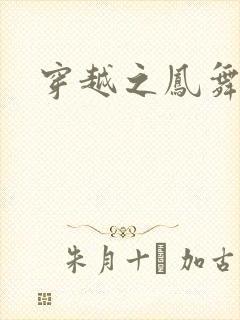 穿越之凤舞天下