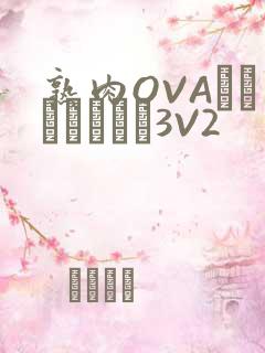 熟肉OVAちゃんはしたい3V2