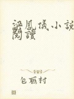 梁凤仪小说在线阅读