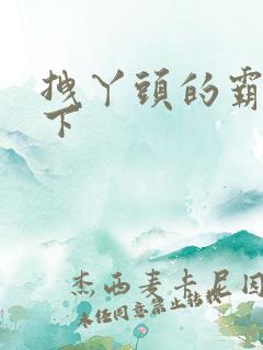 拽丫头的霸道殿下