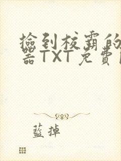 捡到校霸的遥控器TXT免费阅读