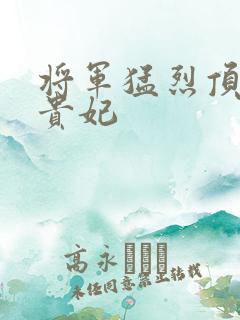 将军猛烈顶弄h贵妃